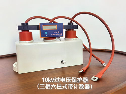 6-10kV三相六柱式过电压保护器（带计数器）